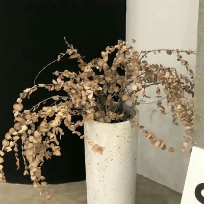 路北福瑞交流群